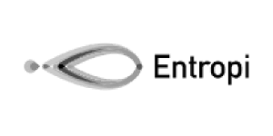 Entropi-logo-grey-colour.png